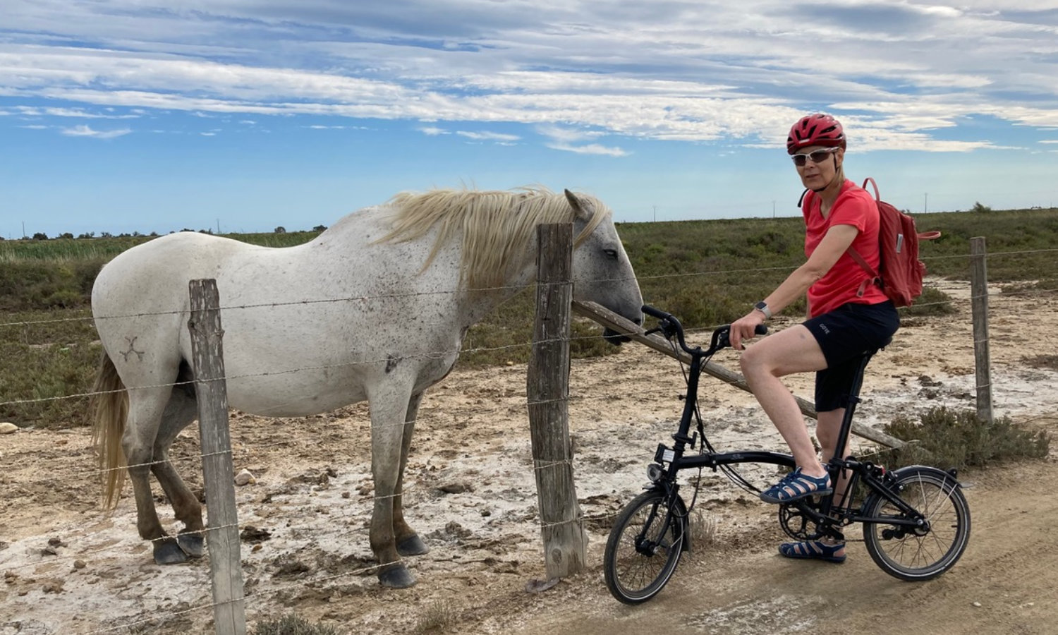 die Reisen unserer Ausleih-Bromptons