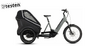 Testvelo Cube Trike Family Hybrid 750, swamgrey'n'reflex, onesize