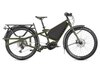 TERN Orox S12 29  Perf. CX w 800Wh LPine/Gray , L: 165-195cm