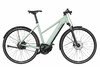 Riese & Müller Roadster Mixte Vario Salvia Matt